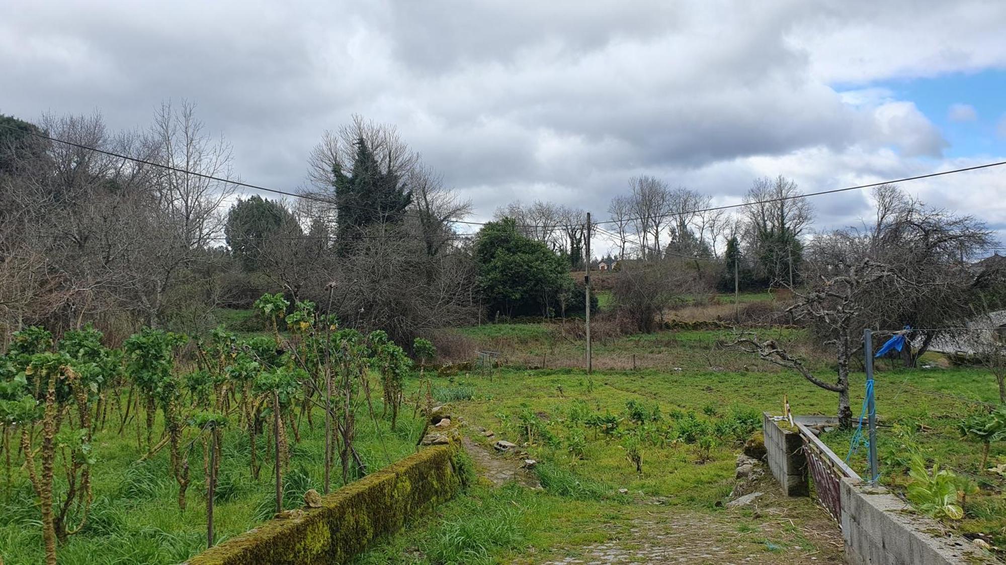 Apartamento T2 Zona Rural Vila Nova de Paiva Luaran gambar